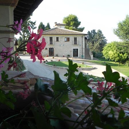 Tenuta Pizzogallo Amelia Exterior foto