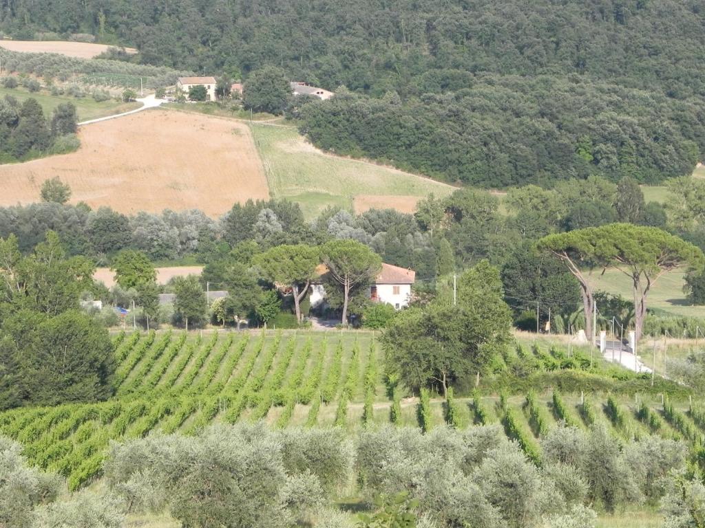 Tenuta Pizzogallo Amelia Habitación foto