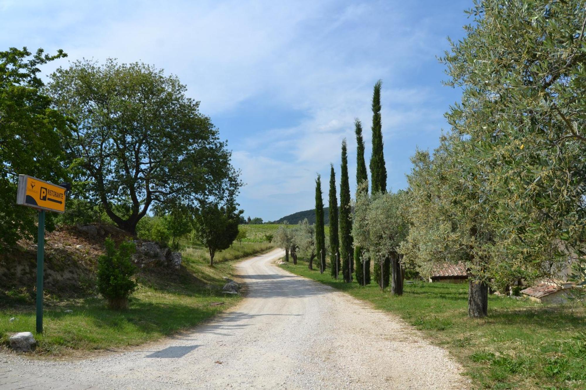 Tenuta Pizzogallo Amelia Exterior foto