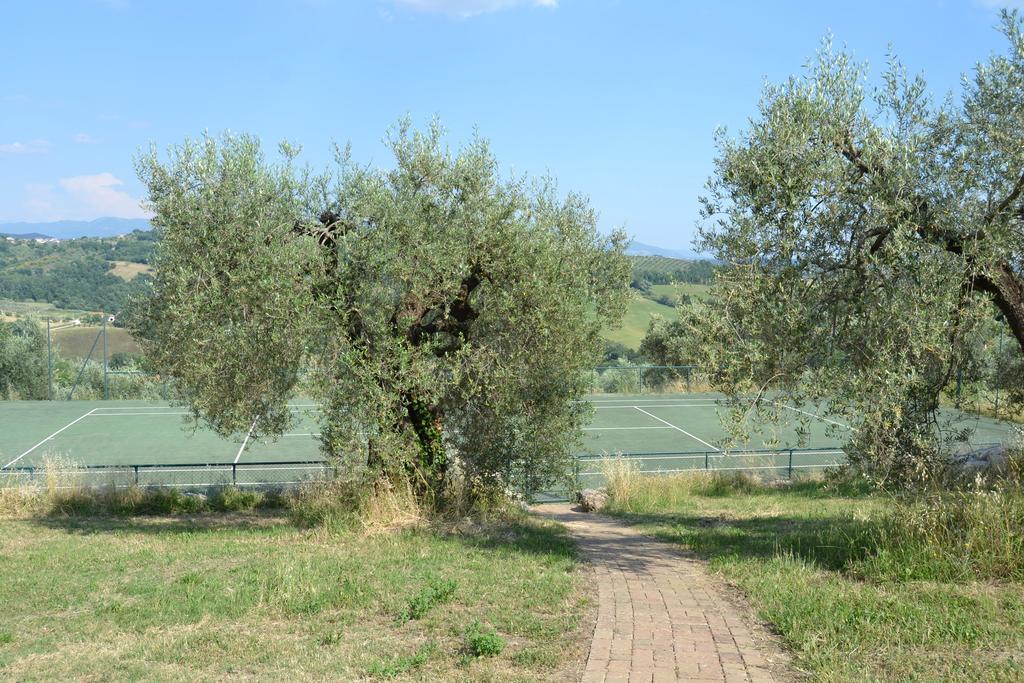 Tenuta Pizzogallo Amelia Exterior foto