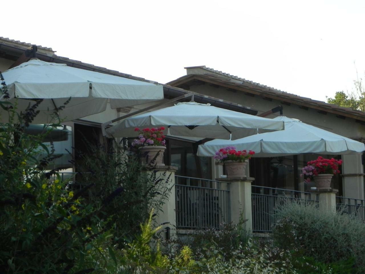 Tenuta Pizzogallo Amelia Exterior foto